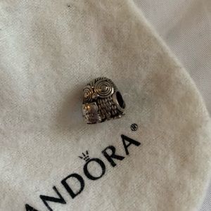 🦉Pandora Owl charm!